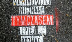 Po krytyce w internecie Grupa Żywiec usunie murale reklamowe piwa EB z Parku Cytadela