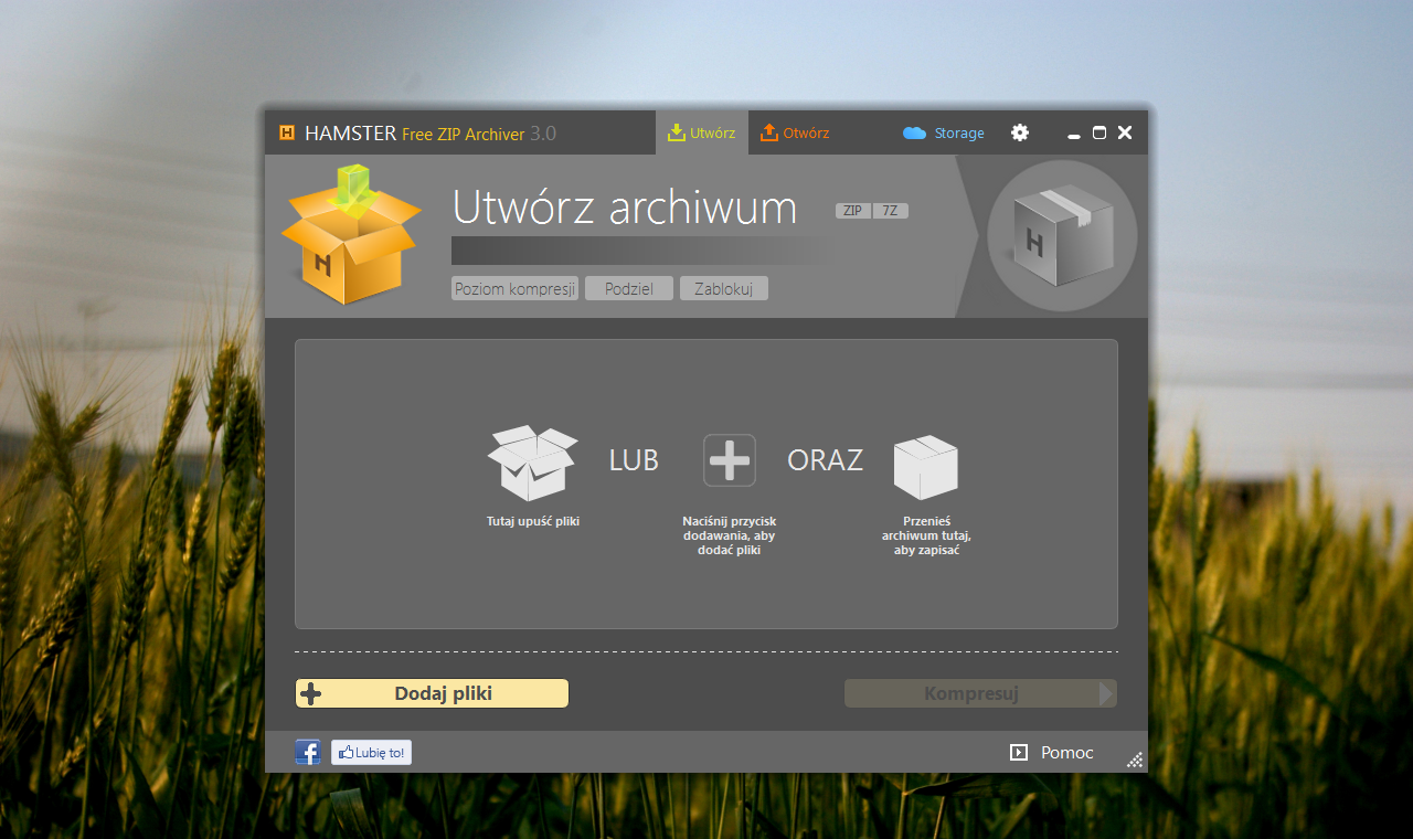 Obraz