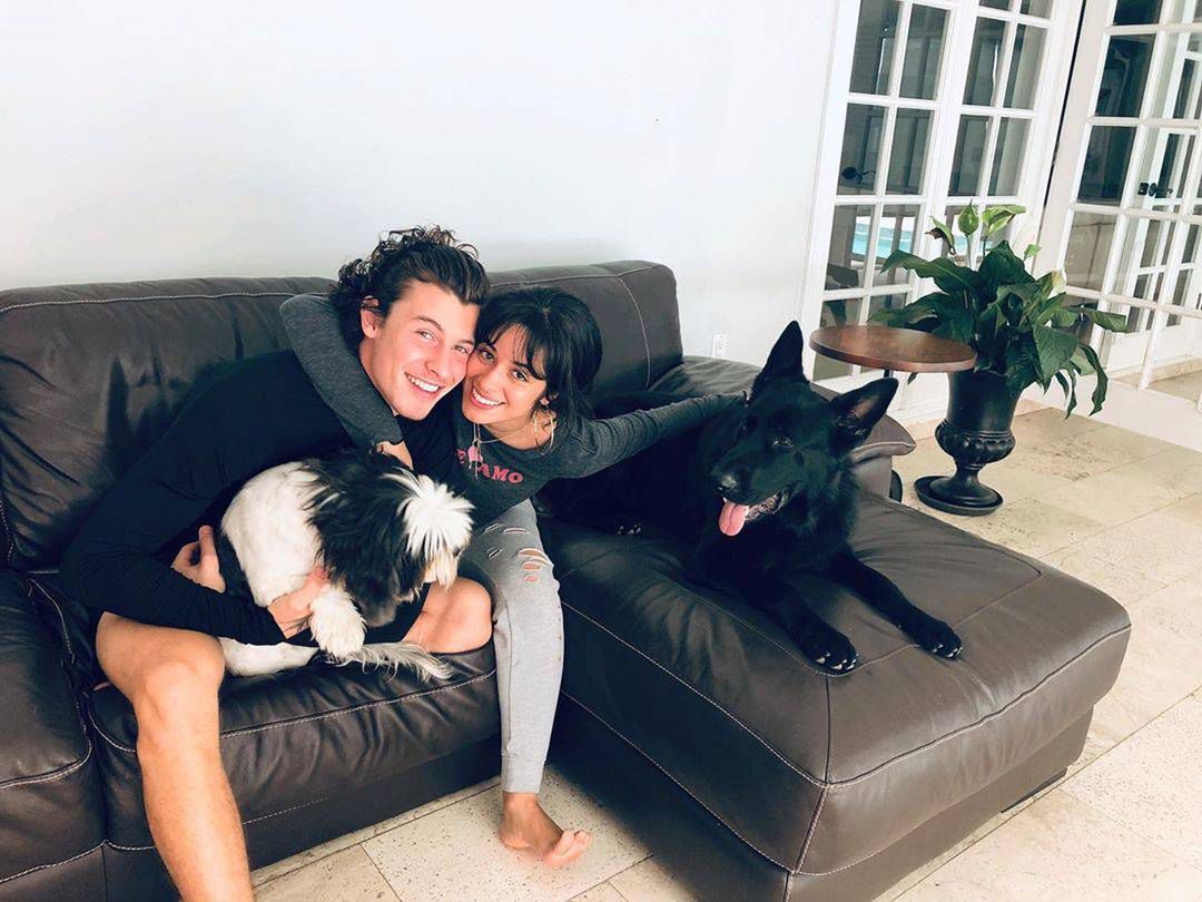 Camila Cabello i Shawn Mendes - zdjęcie z psami