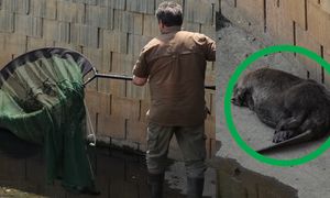 Leżał i czekał na pomoc w zbiorniku retencyjnym. "Syzyfowa praca"
