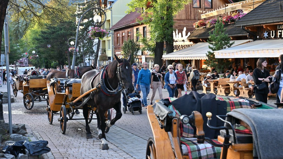 Górale w euforii. Już liczą zyski. Tak dobrze dawno nie było