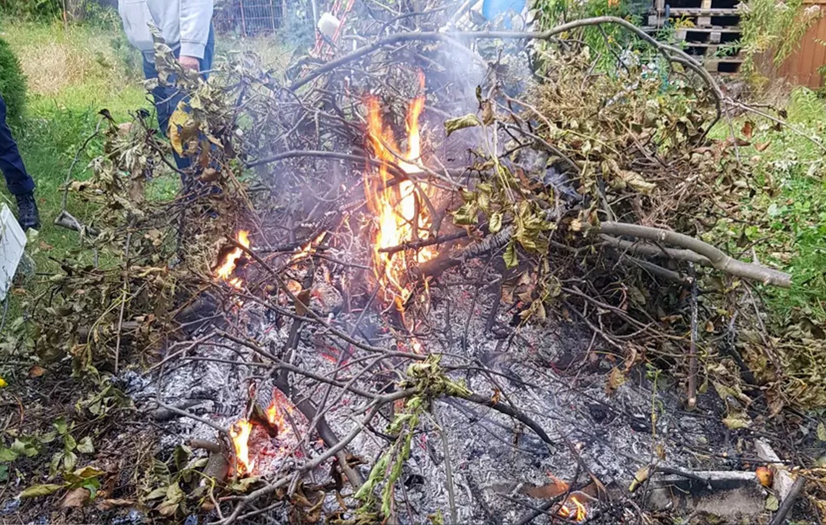 Palisz gałęzie i liście? To zabronione. Grożą surowe mandaty