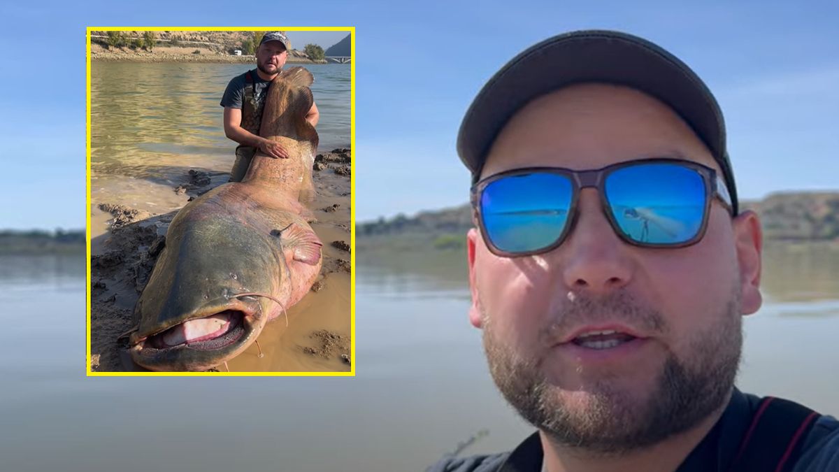 Pan Michał po raz kolejny złowił gigantycznego suma