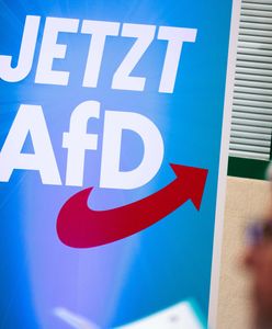 "Cios dla kanclerza" Niemiec. Historyczny wynik sondażowy AfD