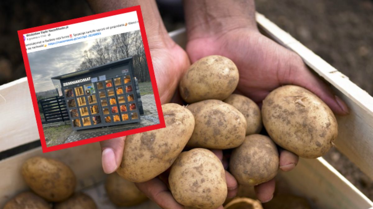 Ziemnikamat na Śląsku. Ziemniaki prosto od rolnika
