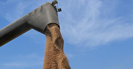 Ukraina potrzebuje większego tranzytu zboża. Polska i Rumunia nie pomogą