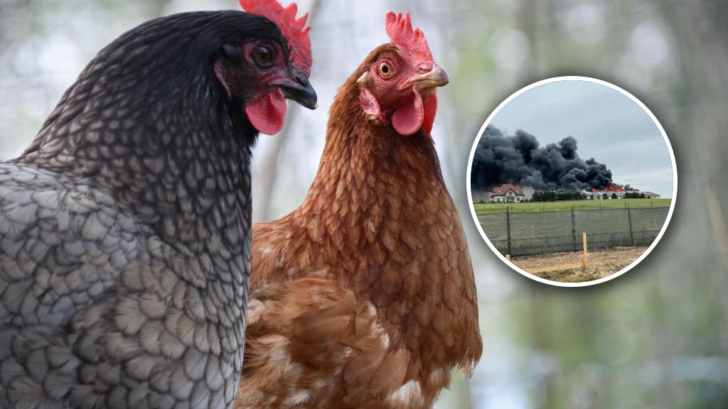 W Siemirowicach wybuchł pożar