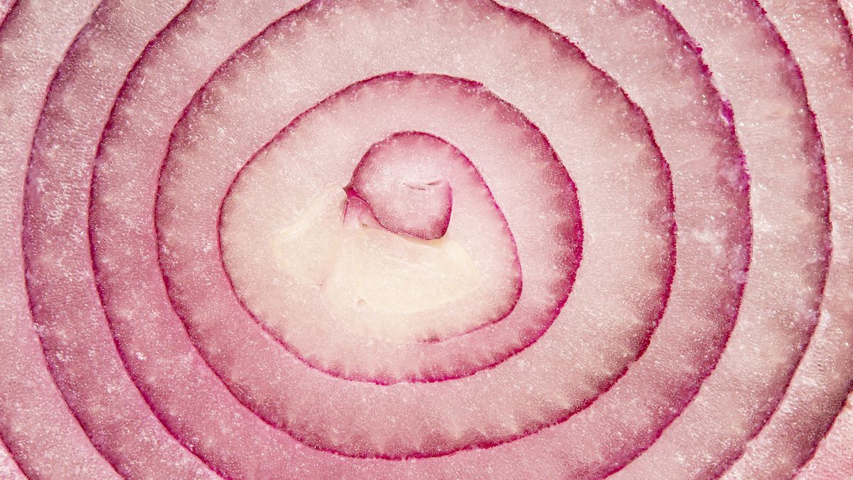 Red onion detail cutRed onion detail cut.Studio CJanti-tumor, antiviral, bulb, detail, flat, flavonoids, immune, layers, lilies, low depth of field, macro, quercetin, red onion, rings, umbella