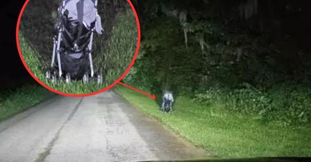 Widzisz wózek porzucony na poboczu? To może być pułapka