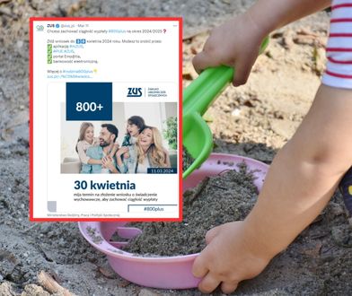 800 plus. ZUS przypomina o ważnym terminie. Wypłaty mogą zostać wstrzymane