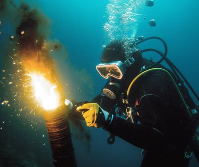 W ofertach przebierają. Nawet 90 tys. zł pensji miesięcznie