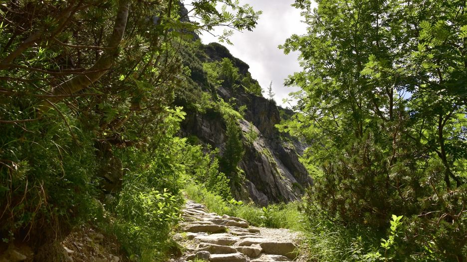 Tatry
