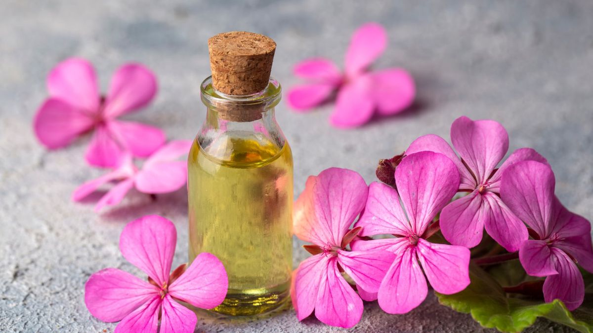 Olejek z geranium wykazuje działanie uspokajające oraz relaksujące, z tego względu wykorzystywany jest w aromaterapii.