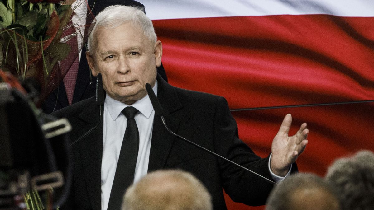 Piotr Kaleta z PiS postanowił pouczyć posłankę opozycji. Poszło o... Jarosława Kaczyńskiego 