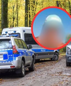 Marcin zginął na grzybobraniu. Wstrząsająca relacja przyjaciela