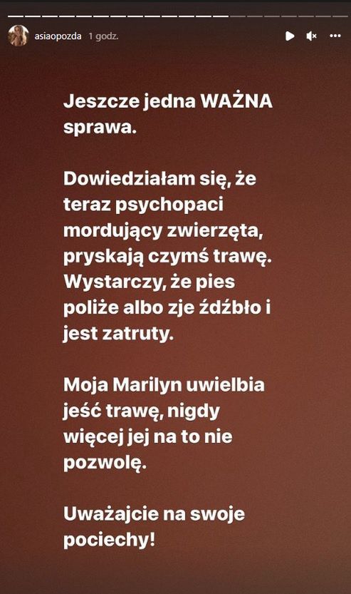 Przestrzegła innych właścicieli psów