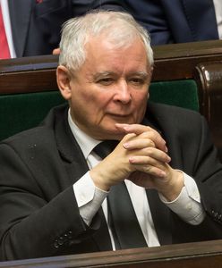 PiS ma plan na wybory. Znów będą prezenty