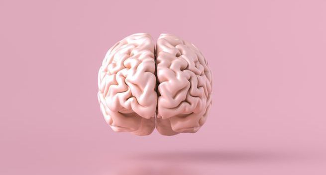 Neurolodzy: aby lepiej leczyć choroby mózgu, konieczne są inwestycje w neurologię