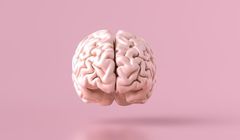 Neurolodzy: aby lepiej leczyć choroby mózgu, konieczne są inwestycje w neurologię