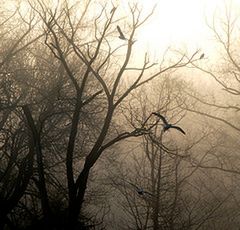 Flickr: subiektywny przegląd zdjęć tygodnia 05 5
