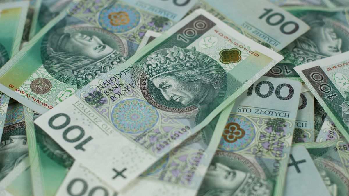 800 plus już od stycznia/ zdjęcie ilustracyjne