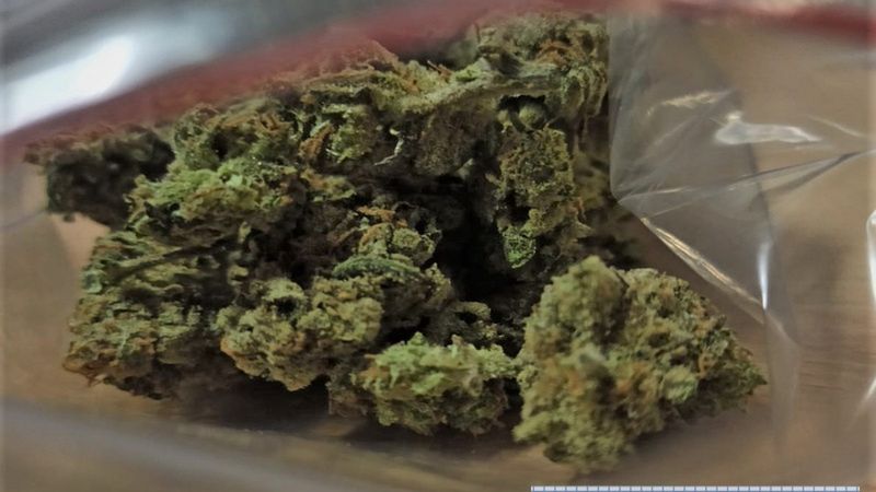 Wrocław. Policja kontroluje Wyspę Słodową. Dla 34-latka nie zakończyło się to najlepiej