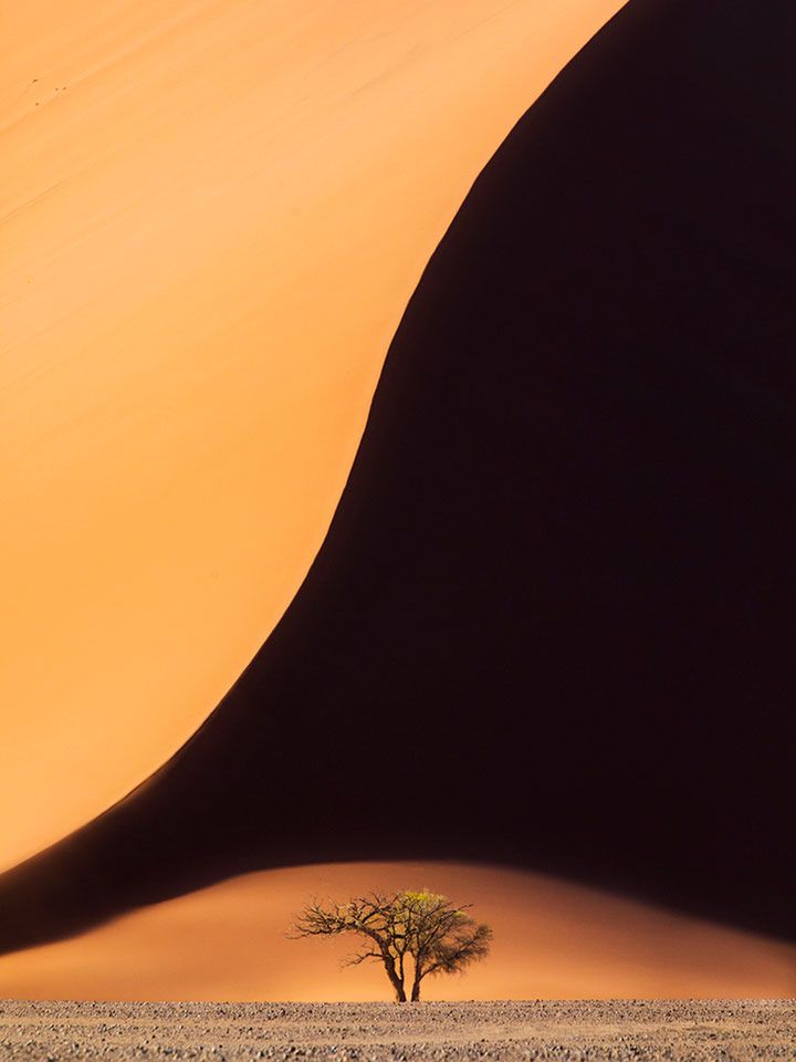 Natura na zdjęciach zwycięzców konkursu The Nature Conservancy Photo Contest 2018 13