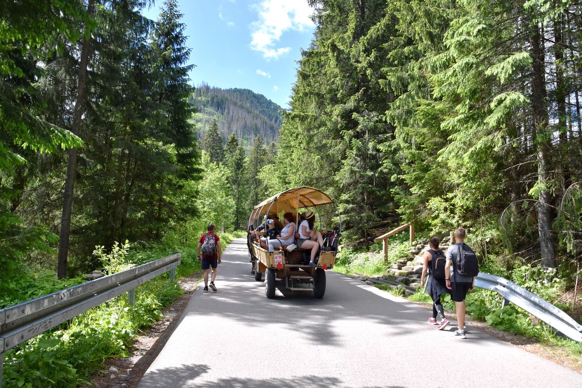 Zważono wozy jeżdżące nad Morskie Oko 