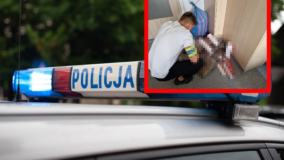 Bydgoska policja przeszukała sklep w centrum Koronowa 
