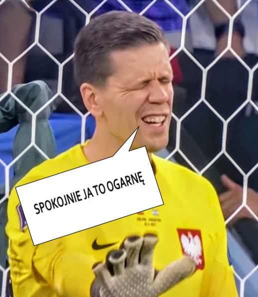 Memy po meczu Walia - Polska