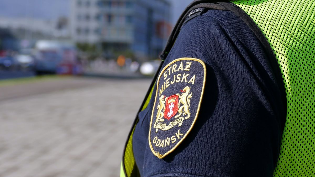 Akcja straży miejskiej w Gdańsku ws. deratyzacji