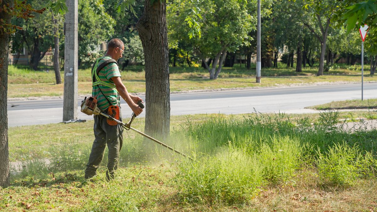 Koszenie - zdjęcie ilustracyjna