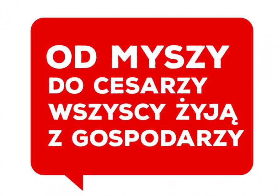 Jutro ogólnopolski protest rolników. Sprawdź, gdzie będą utrudnienia!