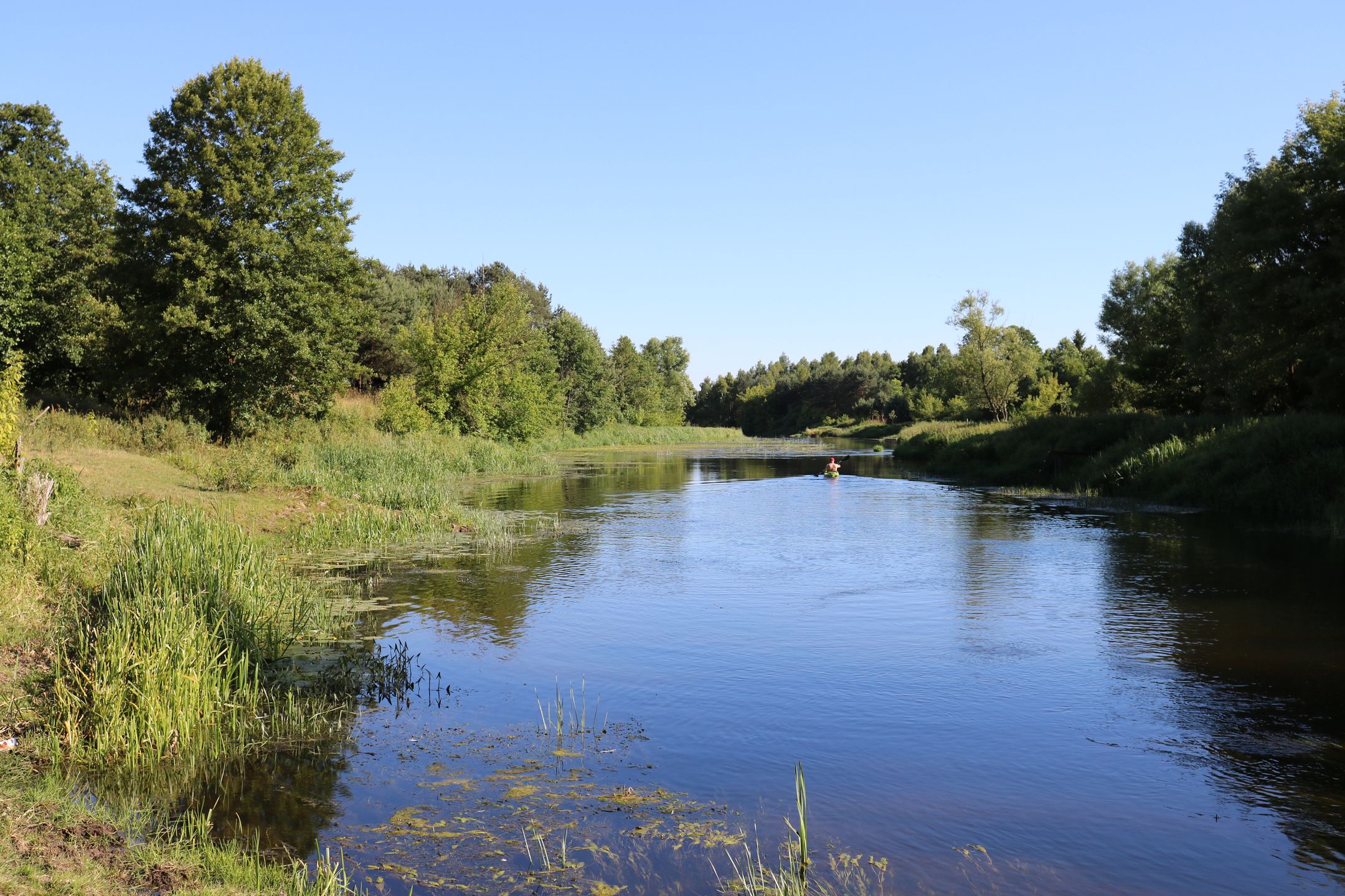 Canon EOS 760D - bardzo dobry, ale nie celujący [test] 44