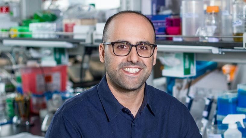 Nowa metoda walki z nowotworami. Wirusy i bakterie trafiają bezpośrednio w komórki rakowe