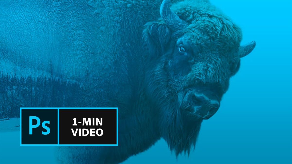 Czy minuta wystarczy, aby nauczyć się czegoś nowego z Photoshopa? Adobe twierdzi, że tak 1