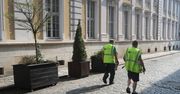 Szczecin: Kwiaty w donicach zostały podlane po naszej interwencji. Już nie szpecą