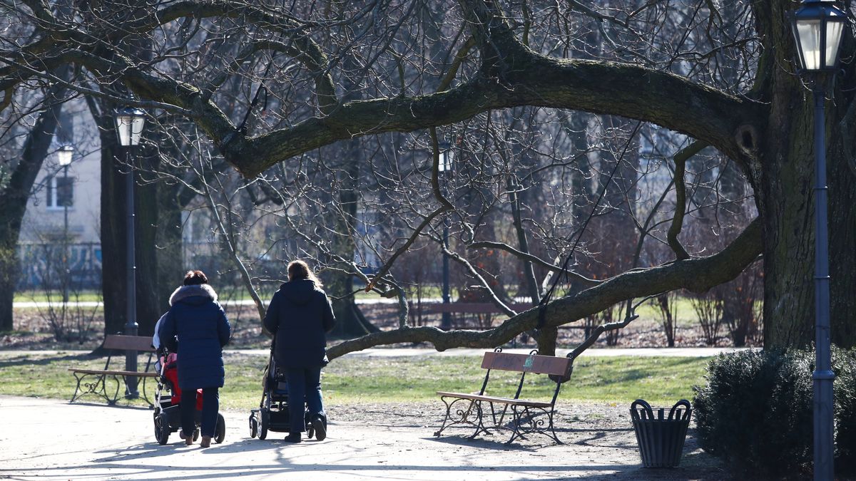 s�oneczna pogoda
Warszawa, 17.03.2023. S�oneczna pogoda w Warszawie, 17 bm. (jm) PAP/Tomasz Gzell
Tomasz Gzell
park, pogoda, s�oneczna, s�o�ce, wiosenna, wiosna, cieplej, ciep�o, oznaki, promienie s�oneczne, s�oneczna pogoda, warunki atmosferyczne, wiosny, spacer, spacerowicze