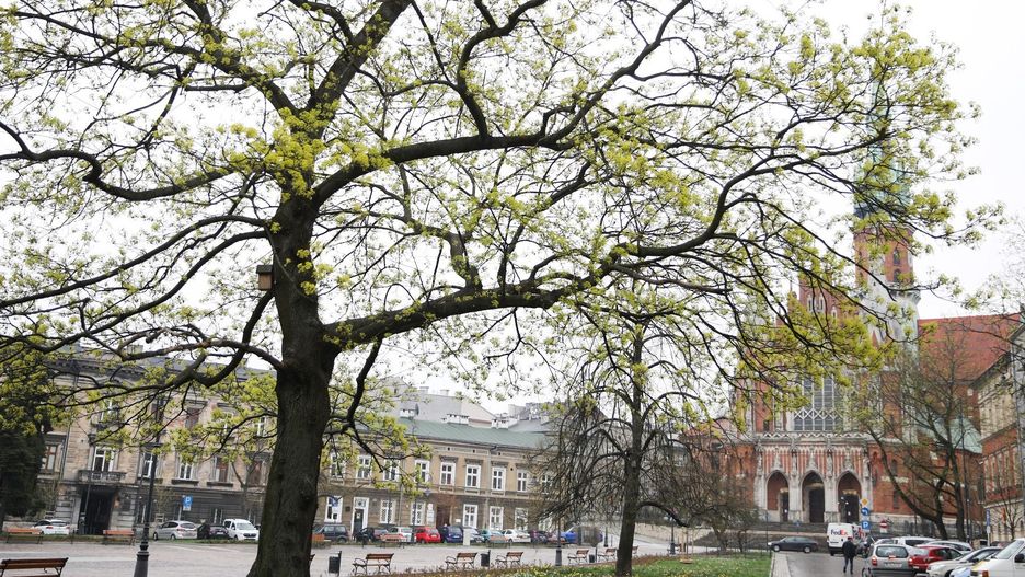 Teatr KTO zaprasza na plenerowe widowisko o Podgórzu i jego legendarnych postaciach