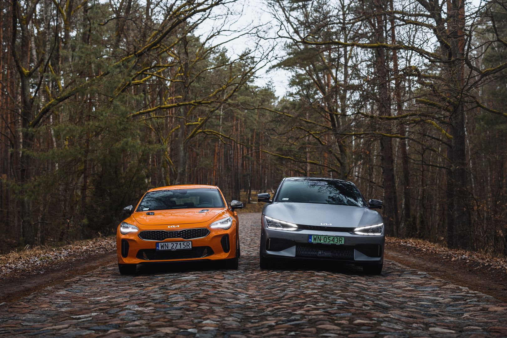 Kia Stinger GT vs. EV6 GT