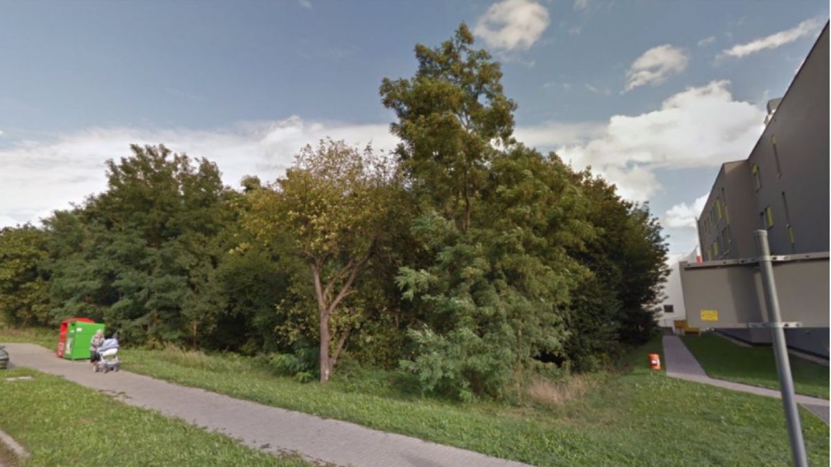 Dzieci włożyły wiele wysiłku w budowę szałasu. Niestety, przygotowana przez nie konstrukcja została zniszczona