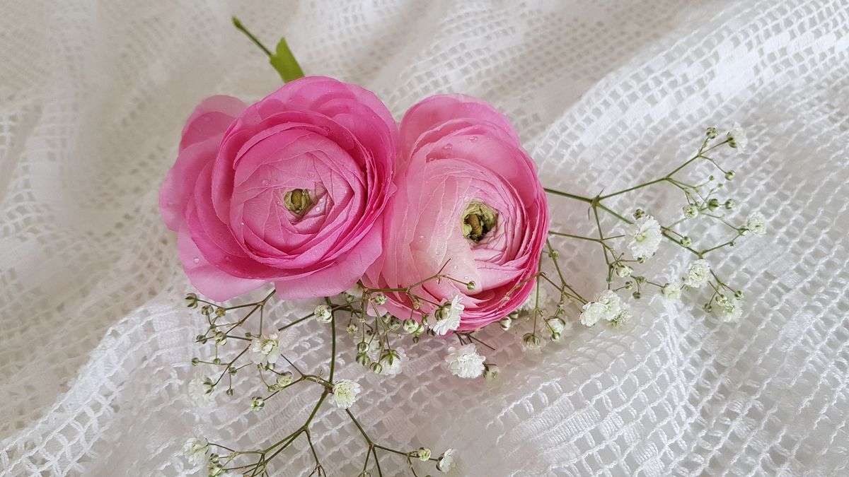 Barbórka 2020. Życzenia i wierszyki