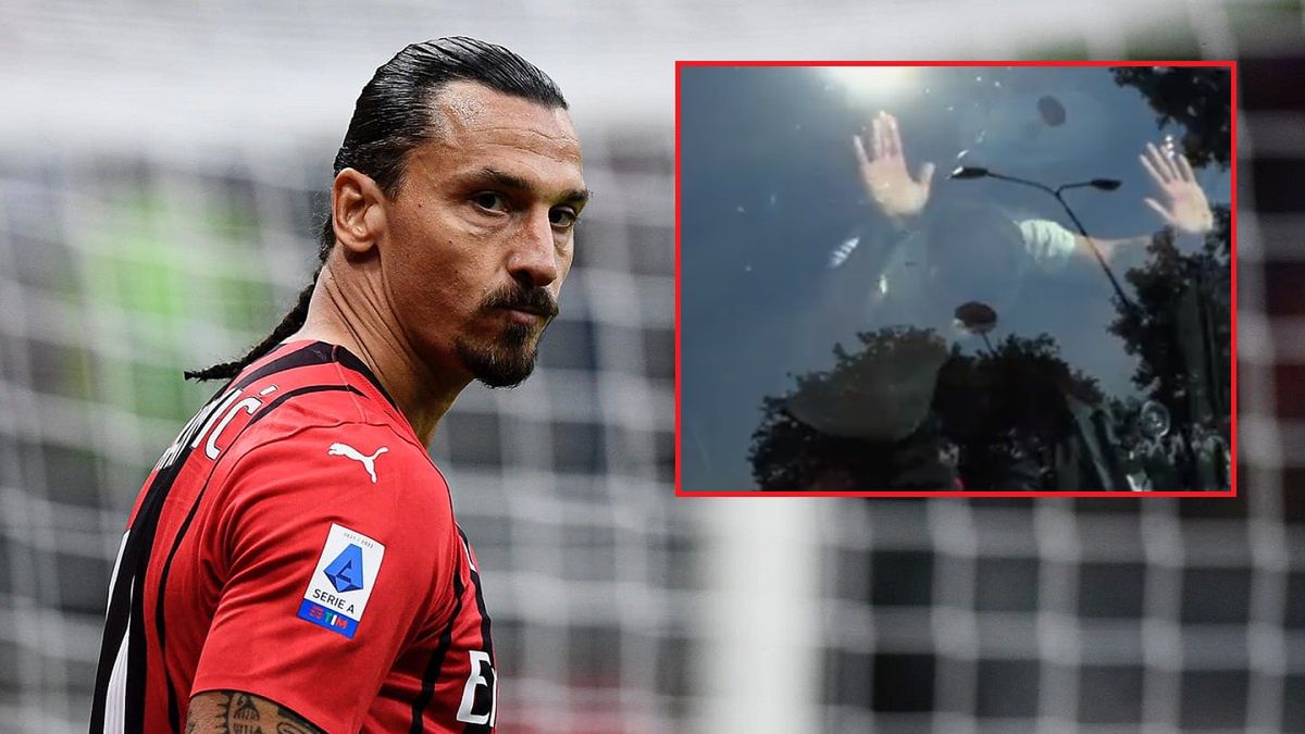 Zlatan Ibrahimović 