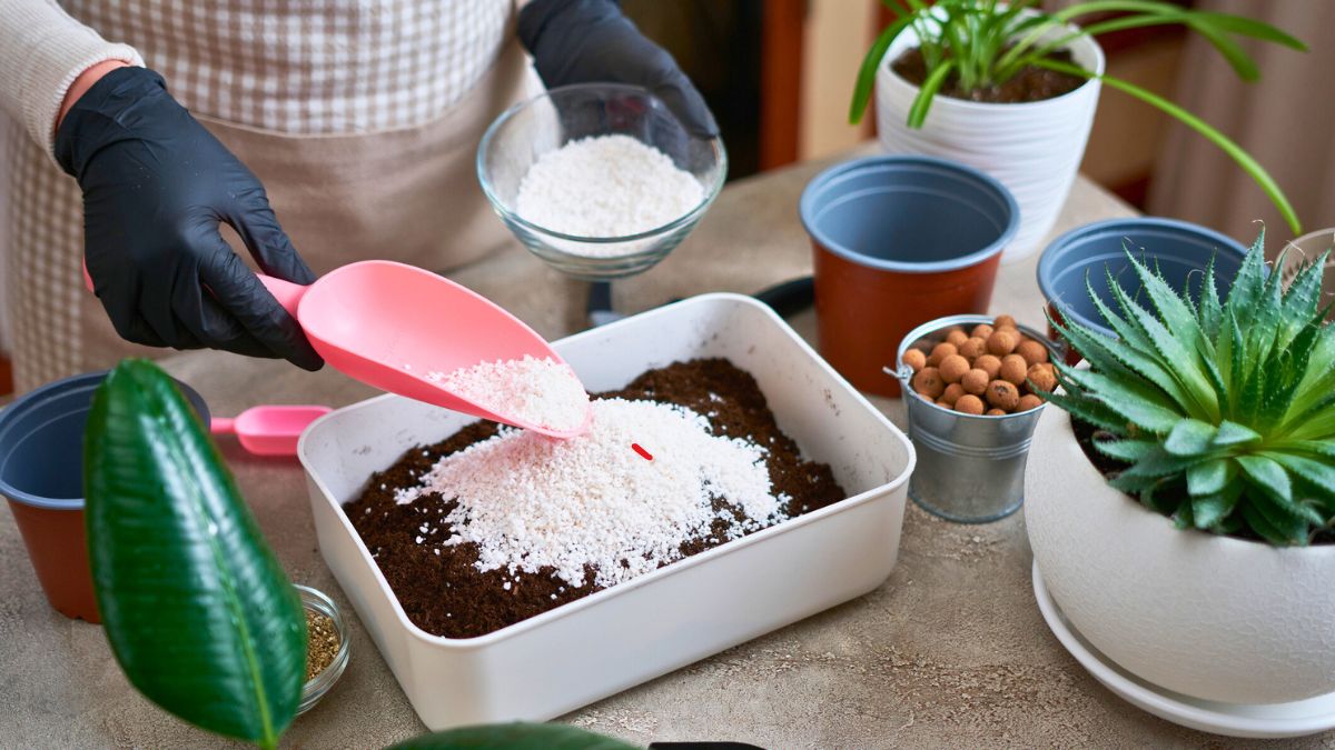 Kobieta robi mieszankę ziemi