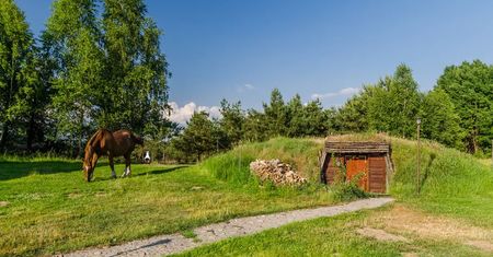 Ziemianka ogrodowa - jaką wybrać i ile kosztuje?