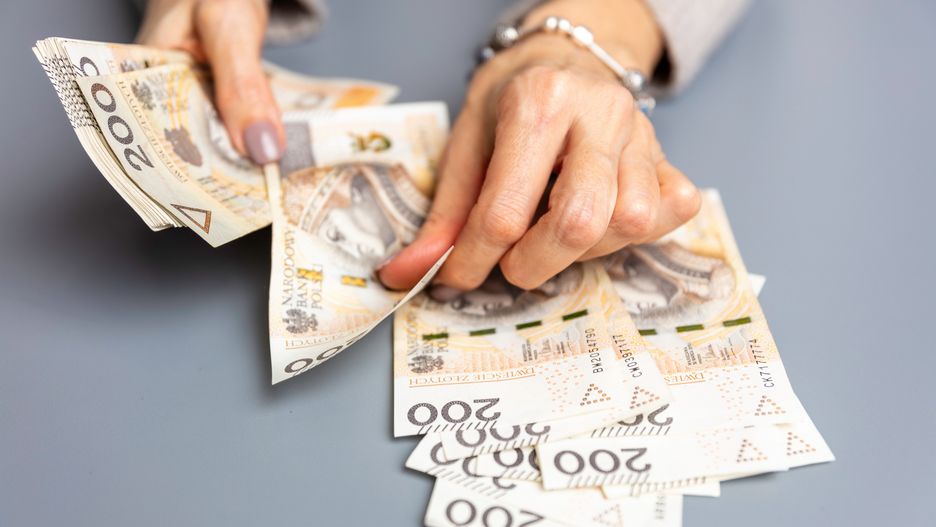 pieniądze, gotówka, waluty, waluta, złoty, polskie pieniądze