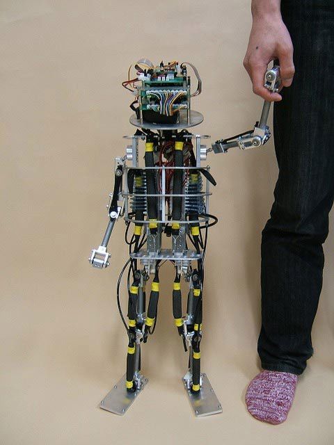 Trochę straszne, trochę niesamowite - tak wyglądają dzieci-roboty 2