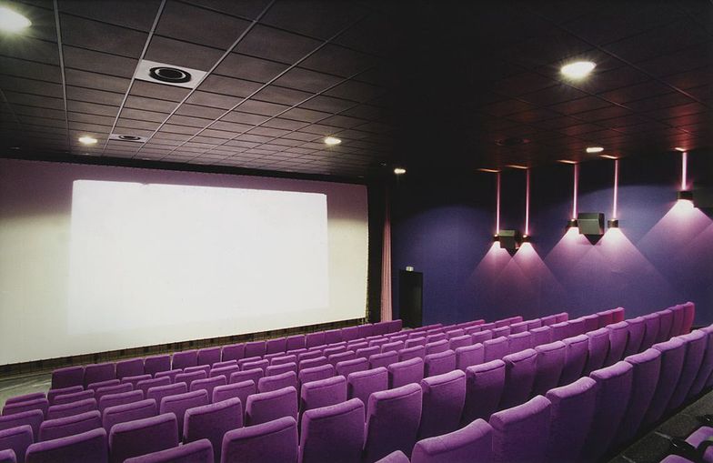 GUS: Liczba widzów w kinach wzrosła o 4,3% r/r do 61,7 mln w 2019 roku