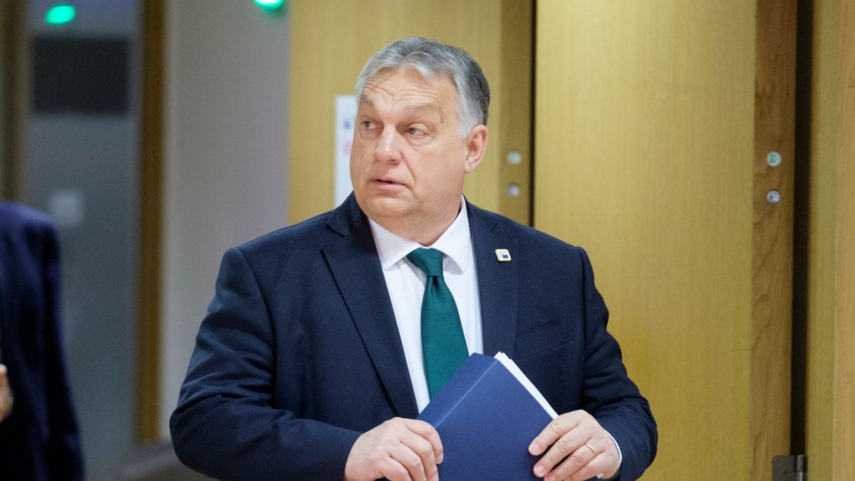 EU Chief Of State Summit
BRUSSELS, BELGIUM - DECEMBER 15: Hungarian Prime Minister Viktor Mihaly Orban arrives for an EU Summit in the Justus Lipsius Atrium, the EU Council headquarter on December 15, 2022 in Brussels, Belgium. The European Council will discuss the latest developments in Russia's war against Ukraine and how to help Ukraine get through this winter. In this context, EU leaders will discuss continued political, military, humanitarian and civil protection support to Ukraine, and how to assist in restoring Ukraine's critical infrastructure. (Photo by Thierry Monasse/Getty Images)
Thierry Monasse
brussels, national conservatism, right-wing, right-wing populism, social conservatism, summit, viktor orbán, far-right