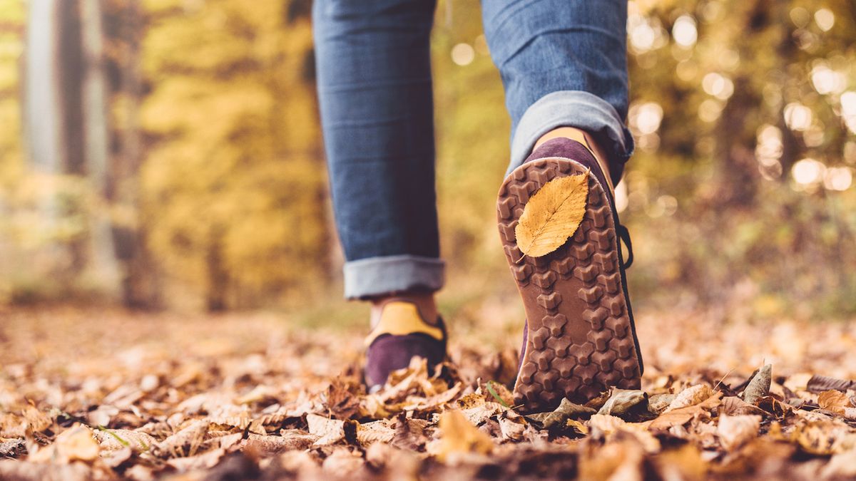 Koronawirus może bytować na naszym obuwiu, jednak nie jest to aż tak niebezpieczne